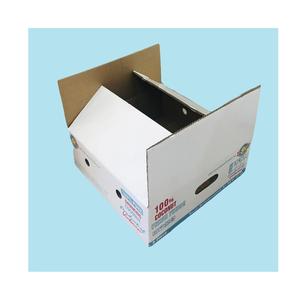 Caja de cartón corrugado plegable con logotipo personalizado Protección UV Flexográfica Impreso Embalaje de coco fresco Envío rectangular - Product Image 3
