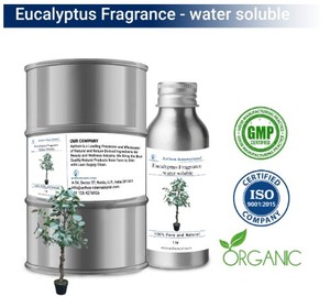 Parfum d'eucalyptus écologique, liquide longue durée pour spa et relaxation, produit WS de qualité supérieure - Product Image 6