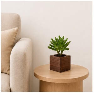 Jardinera Cuadrada de Madera Maciza Hecha a Mano para Suculentas y Hierbas de Interior, Maceta Ecológica de Nogal Negro para Escritorio y Hogar - Product Image 3