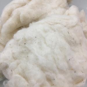 Fibre de coton de haute qualité d'origine Vietnamienne, à bon prix, en déchets de cardage, de fibres volantes, de noils blanchis et de fibres peignées pour la fabrication de fil à filer_ Florence - Product Image 5
