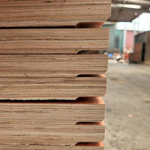 Triplay Marino de Madera Dura de 1160*2400 mm, Contrachapado para Contenedores de 28 mm, Tratado - Product Image 1
