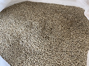 พริกไทยขาวแห้งเวียดนามขายส่ง คุณภาพดี ราคาดีที่สุด สำหรับการส่งออก - Product Image 4