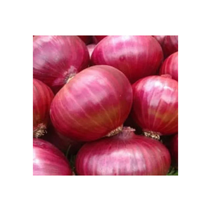 Oignons Rouges Frais en Gros de Haute Qualité 100% Naturels, Forts et Savoureux, Bulbes d'Oignon Ferme et Croustillants pour la Distribution Mondiale aux Acheteurs - Product Image 2