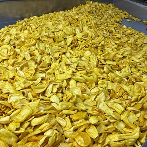 Chips de Jaca de Kerala Secados al Vacío 100g, Sin Aceite, Sin Azúcar Añadido, Snack de Fruta 100% Natural, Sin Conservantes, Chips Saludables - Product Image 1