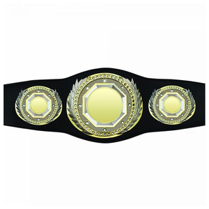 Direct <b>Wrestling</b> <b>Belt</b> Dual Plated Gold and Silver Championship <b>Belt</b> Custom Branding Bulk Sports Awards - Product Image 4
