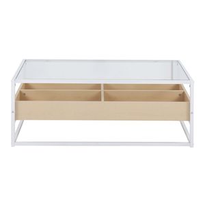 Contemporary <b>Display</b> <b>White</b> Metal and Natural Wood Coffee Table with Clear Glass by - Product Image 4