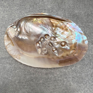 Vente chaude divers types coquillage et perle matériel meilleur prix M O P nacre coquille - Product Image 5