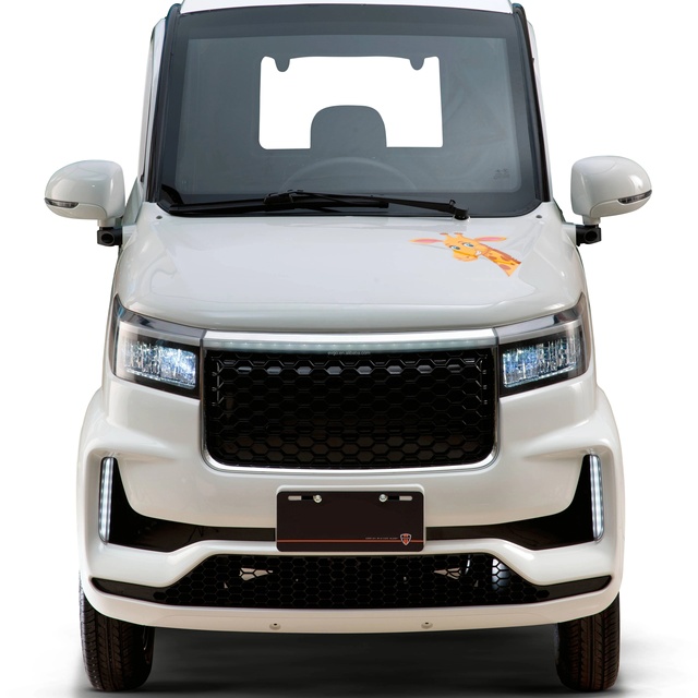 Europe's Best-selling Mini Electric Car 4-seater 4-wheel Left Steering Adult & Elderly Use