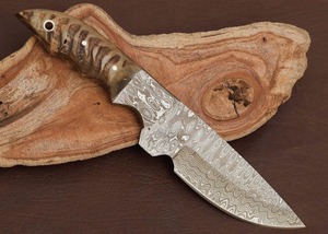 Couteau d'extérieur personnalisé avec lame à motif Damas et poignée en corne, couteau Damas compact pour la survie, la randonnée et les aventures en plein air - Product Image 5