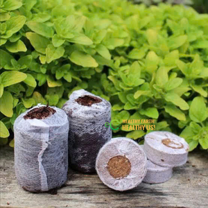 เม็ดมะพร้าวอัดเม็ดที่มีการขยายตัวของมะพร้าวอย่างสม่ำเสมอเพื่อการขยายพันธุ์รากและการผลิตในเรือนกระจก - Product Image 3