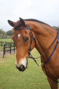 Martingale de course en nylon pour chevaux, jaune et noir, de qualité supérieure, fabriquée aux États-Unis. Martingale de course conçue avec des matériaux haut de gamme. - Product Image 2
