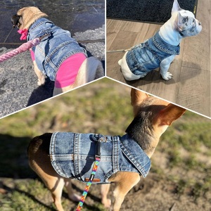 Chaleco de Mezclilla para Perro, Chaqueta para Mascotas de Color Sólido, Atuendo sin Mangas de Lujo para Todas las Estaciones - Product Image 5