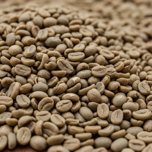 Grains de café Arabica Premium torréfiés en montagne, avec arôme velouté, pour les acheteurs de café de boutiques. - Product Image 3