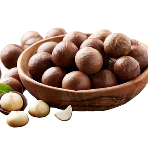 Raw Dried Macadamia <b>Nut</b> Rich Butter Aroma Melt in Mouth Vacuum Pack 10kg Carton Best Price Wholesale - Product Image 1