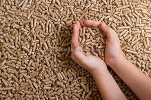 Pellets de Cáscara de Arroz de Biomasa Renovable, Fuente de Energía Limpia para Calefacción, Hornos Industriales y Plantas de Energía - Product Image 2