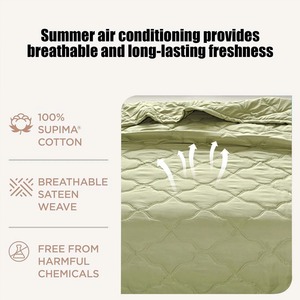 Juego de Edredón Estampado de Lujo para Verano, Personalizado, Azul Claro, Tamaño King, Alta Calidad, Relleno 100% Poliéster y Algodón - Product Image 6