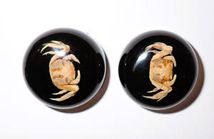 <b>Crab</b> Real Specimen Plastic Cabochon Round 25x25 mm Black Flat Bottom for Crafts and Jewelry Making - Product Image 2