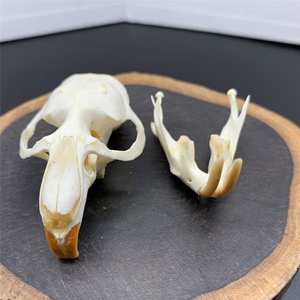 Tradebyd Luxury Resin Animal Sculpted <b>Statue</b> Unique Handmade Figurine for Collectors and Modern Home Interiors - Product Image 1
