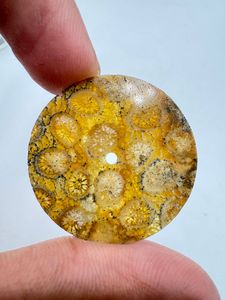K Gems Cadran en Corail Naturel à Motif Unique et Inclusions, 31,50 mm, Plat, Épaisseur 0,90 mm, Pierre Libre pour la Fabrication de Montres, Classique et Élégant - Product Image 1