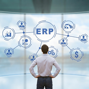 Servicios de Sistemas ERP Avanzados: Planificación de Recursos Empresariales, Automatización de Flujos de Trabajo e Integraciones Digitales Escalables - Product Image 4
