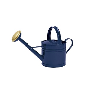 Arrosoir en métal écologique finition verte pour plantes et fleurs, idéal pour la maison et le jardin extérieur - Product Image 5