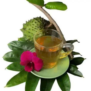 Gomme de corossol séchée naturelle du Vietnam, collation moelleuse sans sucre ajouté, vente en gros, qualité export, prix d'usine, expédition mondiale - Product Image 6
