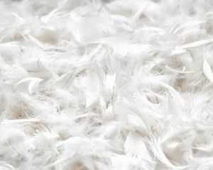 Plumes de canard teintées de haute qualité pour l'artisanat, la chapellerie et la création de costumes - Product Image 6