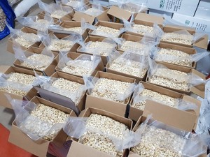 Vietnam Organic Roasted Cashew <b>Nuts</b> & <b>Kernels</b> ISO Certified Vacuum Packed Good Quality Wholesale for Export Phalco Brand Grade a - Product Image 5