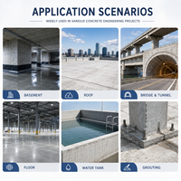 Poudre grise micro-expansive imperméable anti-infiltration à faible teneur en alcali, agent d'expansion pour projets, produit chimique de construction pour tunnels