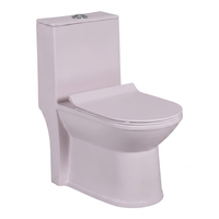 WC monobloc rose coloré en céramique à chasse d'eau par le sol, siphon en P, NANO GLAZE, double chasse, abattant à fermeture douce