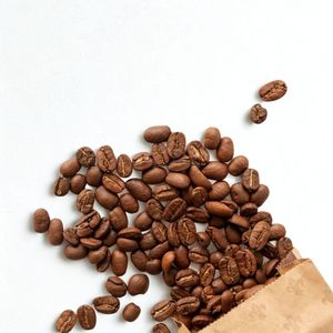 เมล็ดกาแฟโรบัสต้าพรีเมียม S18 (สำหรับเอสเพรสโซ) คั่วบด ขายส่ง พร้อมบริการติดฉลากส่วนตัวและสนับสนุนแบรนด์กาแฟ - Product Image 6