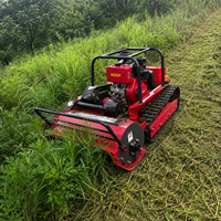 Tondeuse à fléaux diesel sur chenilles avec démarrage électrique et capacité de montée à 55 degrés pour la tonte des talus et des vergers