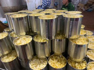 Ananas en conserve en morceaux – Fruit tropical sucré et juteux, de haute qualité et au goût frais // Mr.Tom - Product Image 3