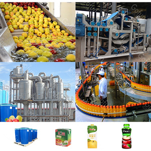 Ligne de production de jus naturel d'orange et d'ananas, mini-machine à jus - Product Image 4