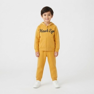 Conjuntos Deportivos con Capucha para Niños, Marca Hawk Eye Sports, OEM, Personalizados, Transpirables, Ligeros, de Poliéster/Algodón, para Invierno, Tallas Grandes, Estampados o Lisos - Product Image 4