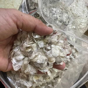 Produit d'exportation phare : Écailles de poisson en vrac, matière première marine en gros 2026 - Product Image 1