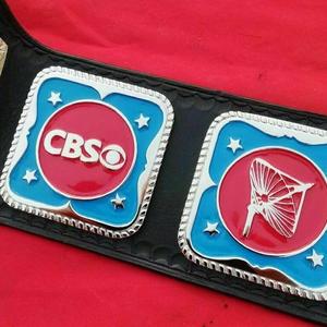 the NWA Television Heavyweight Wrestling Championship Belt - Product Image 2