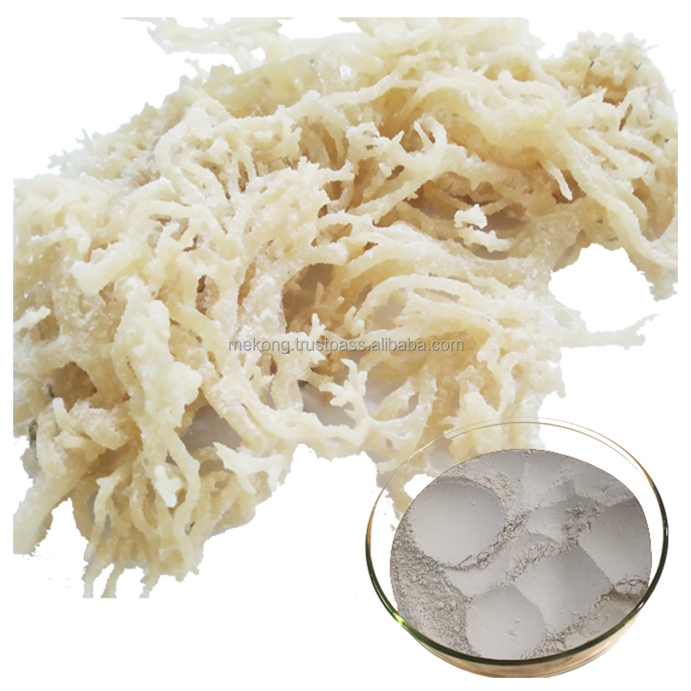 Wholesale High Quality Wildcrafted Irish Sea Moss Powder For Health Food Supplement From Vietnam