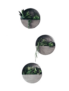 Jardinières murales en métal galvanisé de qualité supérieure pour jardins intérieurs et extérieurs, pots à fleurs ronds demi-lune suspendus, décoration - Product Image 6