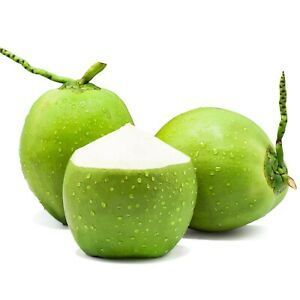 Coco joven fresco de Vietnam - Grado Premium, Natural, Dulce, Verde y en Forma de Diamante // Mr.Tom - Product Image 4