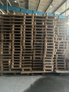 Ngoc Anh Storage <b>Logistics</b> Cargo Transportation Double Faced Vietnam 6 kg Collar Pallet 500 kg Loading Capacity Dynamic Load - Product Image 6