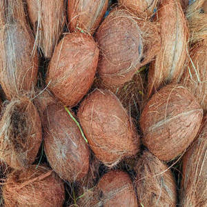 New Season Indian Organic Desiccated <b>Coconut</b> <b>Flakes</b> with Sweet Taste Clean Appearance and Wholesale Packaging - Product Image 3