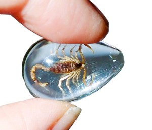 Cabochon Golden Scorpion Pear Shape Cut <b>Top</b> 25x17 mm White Flat Bottom for Crafts and Jewelry Making - Product Image 3