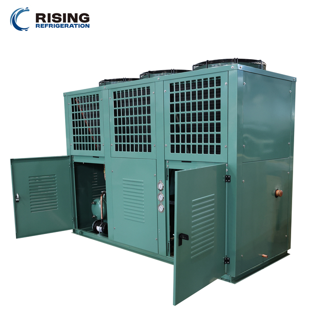 30hp 35hp 40hp 50hp Bitzer Semi-hermetic Refrigeration Compressor Condensing Unit for Cold Room 380V