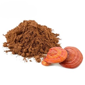 Extracto de hongo Reishi puro y natural 10:1, polvo de Ganoderma Lucidum premium para hombres y mujeres, venta al por mayor. - Product Image 1