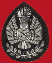Insignia Bordada Personalizada GERMAN EAGLE-659 con Ancla y Corona de Laurel, Parche de Tela Cosido para Uniforme - Product Image 4