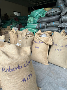 เมล็ดกาแฟโรบัสต้า DHPONE ขายส่ง รสชาติเข้มข้น คาเฟอีนสูง กระบวนการผลิตแบบธรรมชาติ S16 ผลผลิตใหม่ 25-26 - Product Image 5