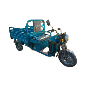 三轮成人电动货运农用三轮车 60V 热销乡村道路运输货物小型电动三轮车 - Product Image 1