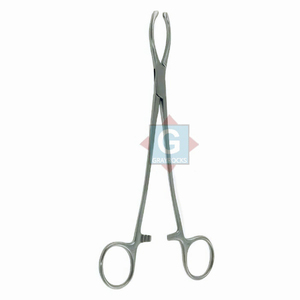 Pinzas para Tejidos Littlewood Más Vendidas, Instrumentos Quirúrgicos de Acero Inoxidable, Certificación CE Clase I, Alta Calidad - Product Image 1