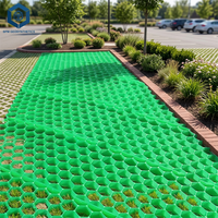 Pavés de gazon extérieurs perméables de haute qualité avec excellente drainage pour les parkings et les jardins au Chili